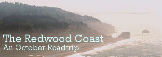 The Redwood Coast